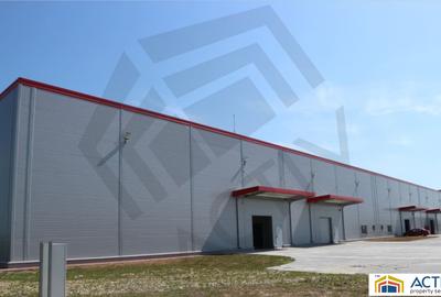Inchiriere hala in cadrul Sânandrei Industrial Park - Timisoara - 3