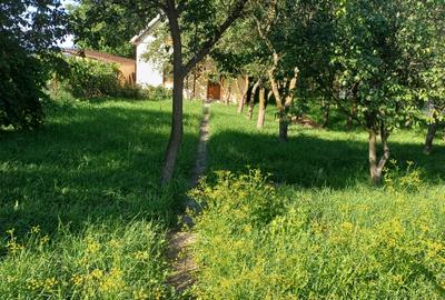 Vânzare casă în comuna Chinteni loc. Vechea - 10