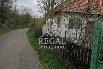 Casă de vânzare în Cerisor – liniște, natură și teren generos! - 6