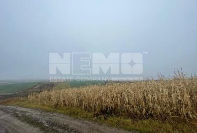 TEREN EXTRAVILAN | DOUA PARCELE 2.84 HA| DARMANESTI - 16