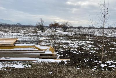 Teren intravilan de vanzare pentru constructii case Ghimbav - 1