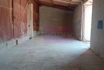 Spațiu de depozitare /productie – Sector 5, Viilor / Str. Inclinata - 1