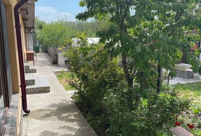 Casa 4 camere Teleorman Com Vartoapele - 6