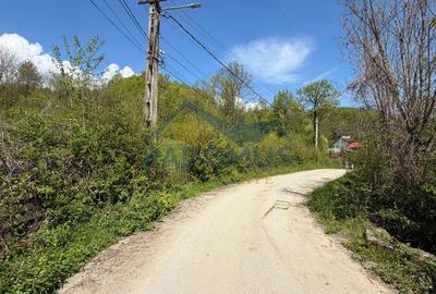 Teren Intravilan  – Provița de Jos | 1.939 mp | Curent electric - 4