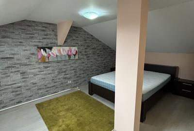 Apartament de  3 camere utilat si mobilat lux / 3 rooms apartment for rent - 25