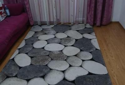 TOMIS III 2 CAMERE PARTER 420 EURO TERMEN LUNG - 1