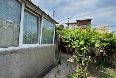CASA DE VANZARE - INEL 1 - 3 CAMERE+ANEXE - - 6