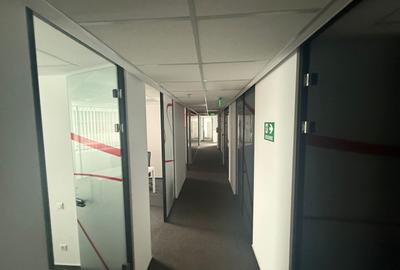 Spațiu de birouri 480 mp  – Piața Victoriei - 1