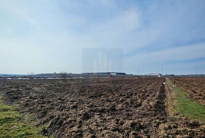 Teren de Vanzare Industrial Caciulati A3 - 4