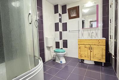 Casa P+1 din BCA ideala pentru o familie antreprenoare â Pecineaga - 11