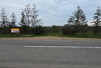 LIVADA  DE VANZARE FOCSANI-DUMBRAVITA  1,8  HA - 30