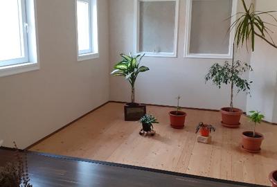 Proprietar vând casă în Dumbravița - 12