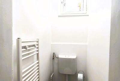 Apartament de închiriat, 1 cameră, 30 mp, zona Horea - 17