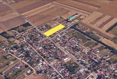 Teren intravilan 5000 mp Tamadau Mare – deschidere 35 metri la DN3 - 5