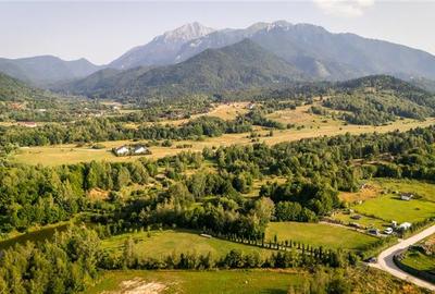 FILM! Oaza paradisiaca cu lac, vedere catre Bucegi, Glajerie/ Rasnov, pretabil C - 16