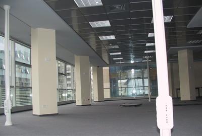 PIATA VICTORIEI - Titulescu spatiu birouri etaj 1 lux 255 mp - 4