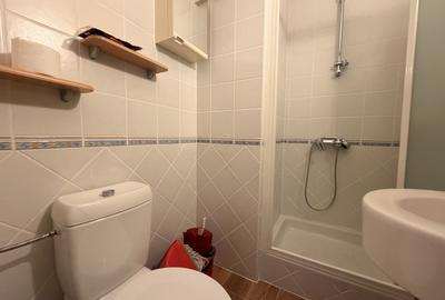 APARTAMENT 3 CAMERE | MEZANIN | PRIMAVERII - 10
