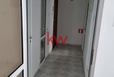 Spatiu comercial la bulevard, cu vad intens, Podu Ros, liber! - 6