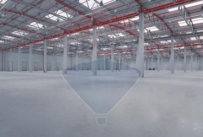 Spațiu industrial de închiriat 1.600mp - 9.000mp în Hală - Iasi (Vest) - 3