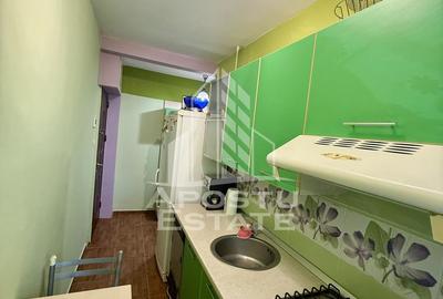 Apartament 2 camere de inchiriat, Dambovita, Timisoara - 6
