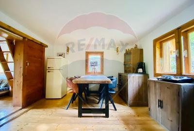 Casă de vacanță deosebită cu ciubăr si saună - natura si relaxare - 14