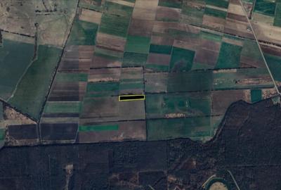 Teren 18.000 mp in Giroc - 2