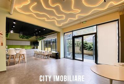 Spatiu comercial 250 mp + terasa 70 mp, Grigorescu, Parter, Ideal HoReCa   Showr - 4