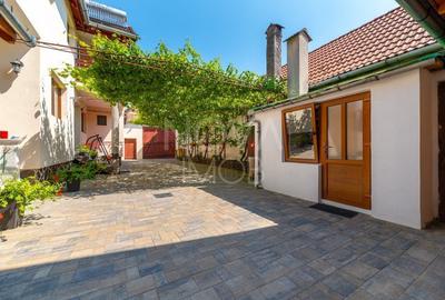 Casa + Pensiune deosebita - Orlat, Sibiu - 55
