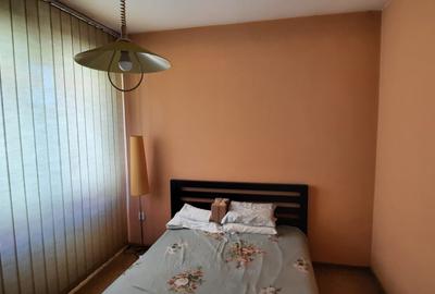 De vanzare casa 5 cam, singur in curte, Cal. Voinicenilor, Zona Horgosa - 16