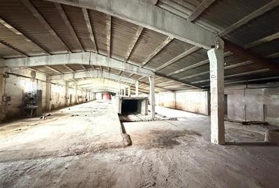 HALE INDUSTRIALE | CLADIRE BIROURI | TEREN 7000 MP | GHEGHIE BIHOR - 5