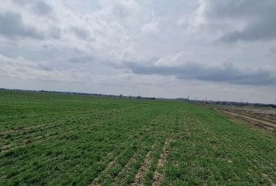 Loturi teren  construibil - 16