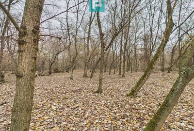 Teren pe malul Mureșului- oportunități multiple - 24