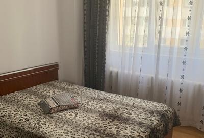 Vanzare 2 camere Pantelimon-Marius - 9