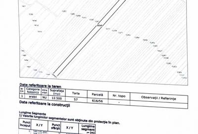 Teren agricol 12.500 mp | Deschidere directă DN61 | Dublu acces | Corbii Mari - 3