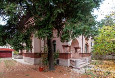 Domenii - Spatiu birouri in vila, cu garaj, 4 locuri de parcare, curte - 1