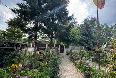 Vanzare vila lacul Baneasa - 26