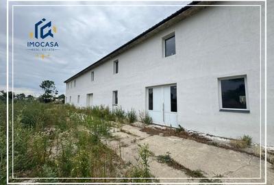 Propunem spre închiriere hală depozitare, comerciala renovat, Arad - 5