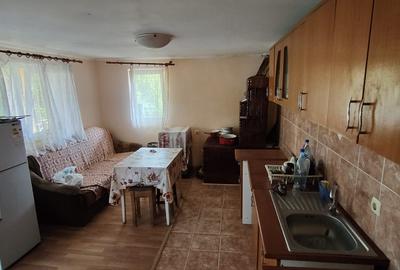 Casa+ casa batraneasca Surupate(Comuna Francesti, Valcea) - 9