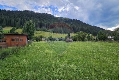 Casa 225 mp, teren intravilan 4822 mp C. Moldovenesc, Suceava - 15