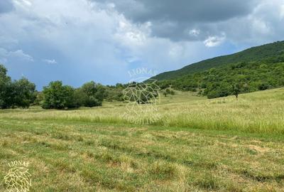 Teren 7200 mp-parcelabil-investitie-Sieu Magherus la 16 km de Bistrita - 8