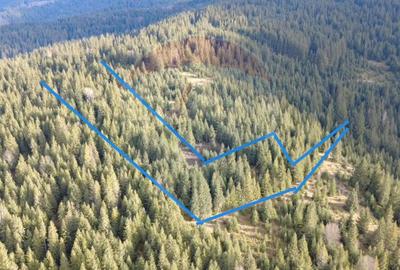 Teren 17,895mp Dorna-Arini / Prelungirea Cozănești - 1