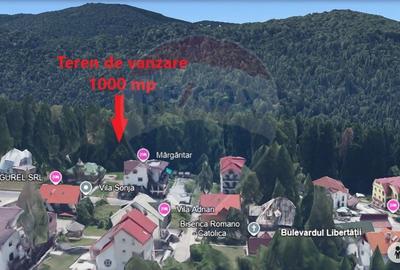 Teren Predeal zona Cioplea, 1000mp - 1