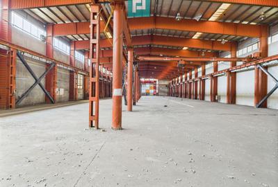 Hală industrială cu pod rulant și parcare betonată - 11