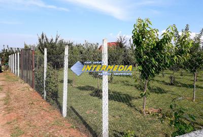 Teren Intravilan 481mp Alba Micesti, utilitati - 3