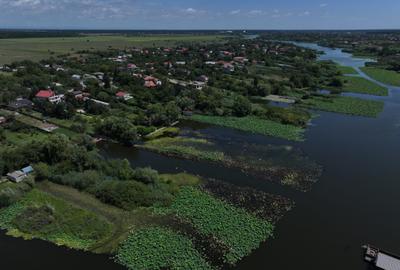 Teren premium cu deschidere la lacul Snagov-Tancabesti - 5