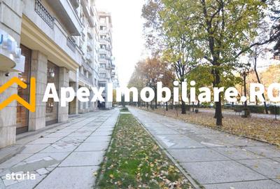 Apartament 2 camere de inchiriat Unirii București | ApexImobiliare.ro - 14