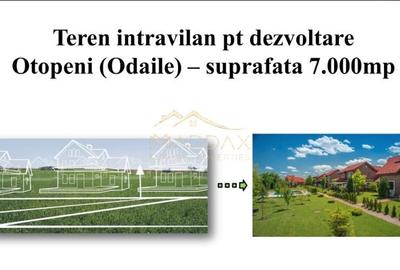 Teren intravilan pentru dezvoltare *7000* mp // Otopeni (Odaile) - 2