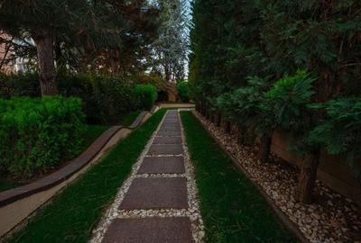 Vila grandioasa, Gradina Japoneza, SPA, Crama, Teren Tenis, Foisor, Iaz Pesti - 11