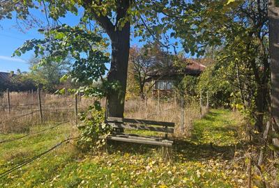 Teren intravilan Ploiesti Bucov - 1