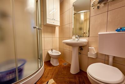 CASA COCHETA IN INIMA ORASULUI OVIDIU LANGA PRIMARIE - 13